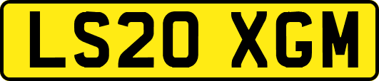 LS20XGM
