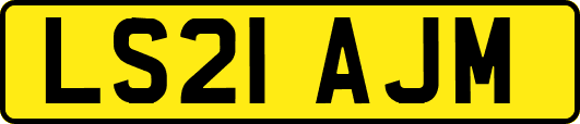 LS21AJM