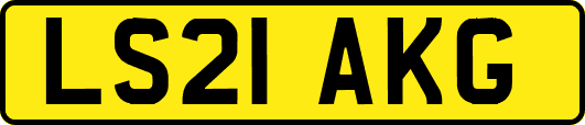LS21AKG