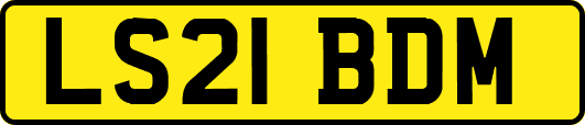 LS21BDM