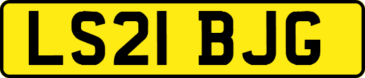 LS21BJG