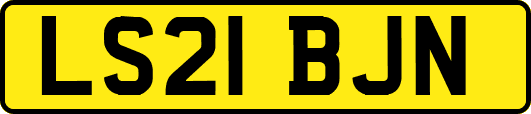 LS21BJN