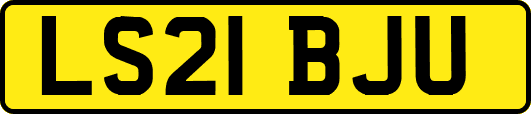 LS21BJU