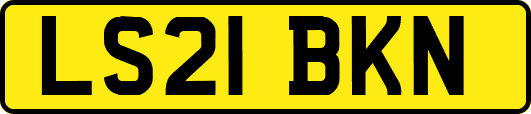 LS21BKN