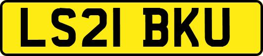 LS21BKU