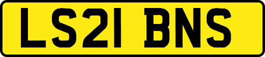 LS21BNS