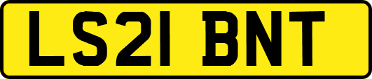 LS21BNT