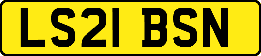 LS21BSN