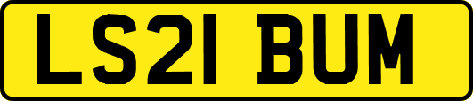 LS21BUM