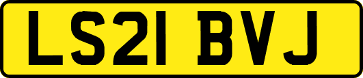 LS21BVJ