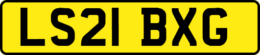 LS21BXG