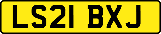LS21BXJ