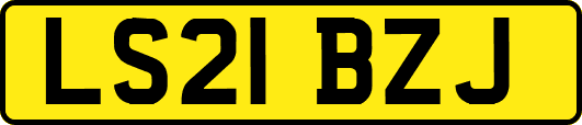 LS21BZJ