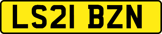 LS21BZN