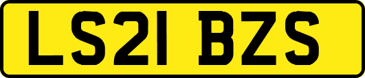 LS21BZS