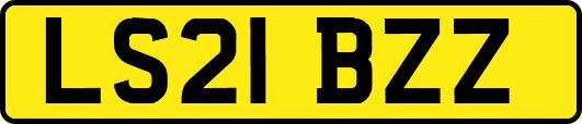 LS21BZZ