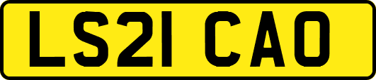 LS21CAO