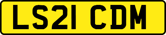LS21CDM