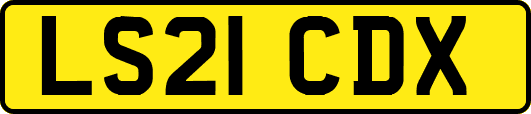 LS21CDX