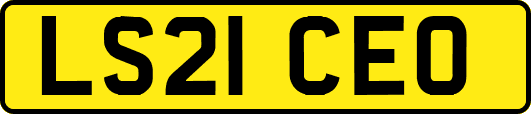 LS21CEO