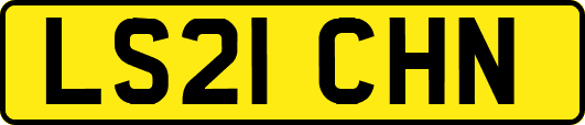 LS21CHN