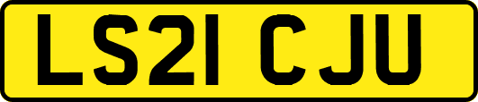 LS21CJU