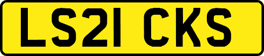 LS21CKS
