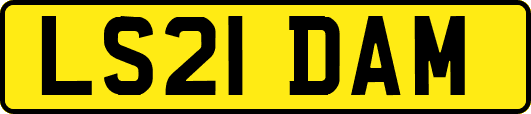 LS21DAM