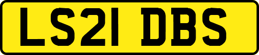 LS21DBS