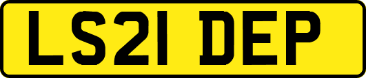 LS21DEP