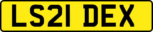 LS21DEX