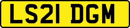LS21DGM