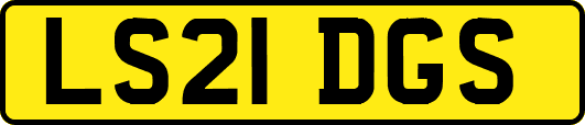 LS21DGS