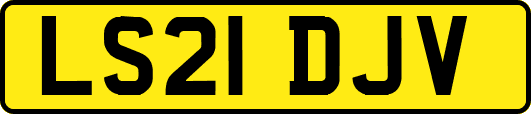 LS21DJV