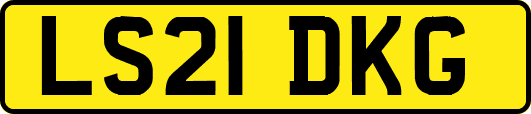 LS21DKG