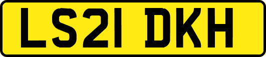 LS21DKH
