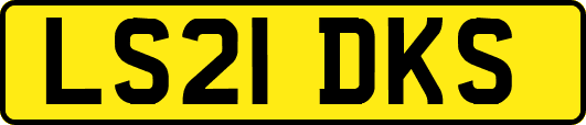 LS21DKS