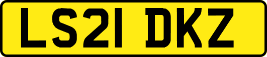 LS21DKZ