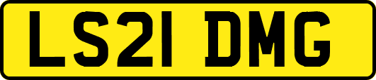LS21DMG