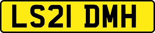 LS21DMH