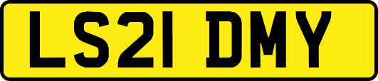 LS21DMY
