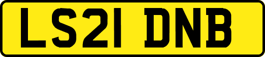 LS21DNB
