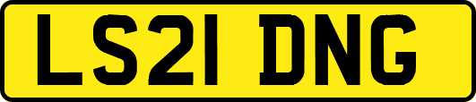 LS21DNG
