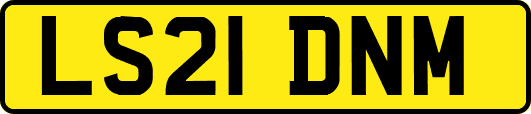 LS21DNM