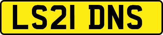 LS21DNS