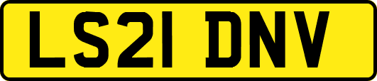 LS21DNV