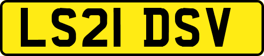 LS21DSV
