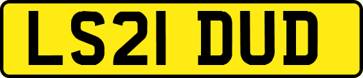 LS21DUD