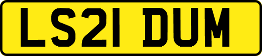LS21DUM