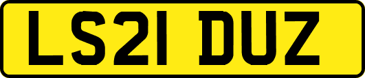 LS21DUZ